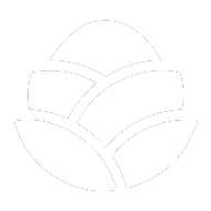 PrayGen logo