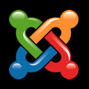 CheckForPlagiarism.net logo