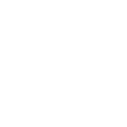 GooseAi logo