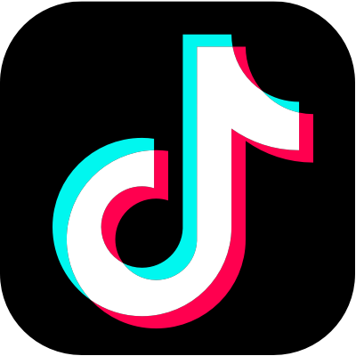TikTok Video Downloader logo
